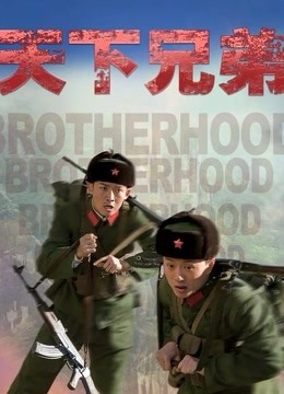 天下兄弟封面图