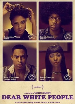 亲爱的白人们封面图