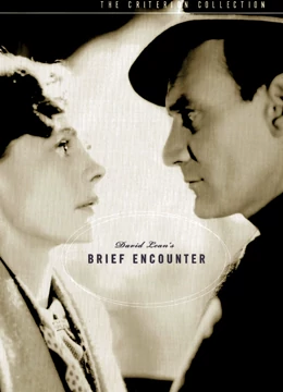 相见恨晚1945封面图