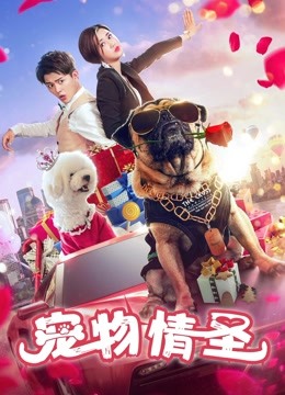 宠物情圣封面图
