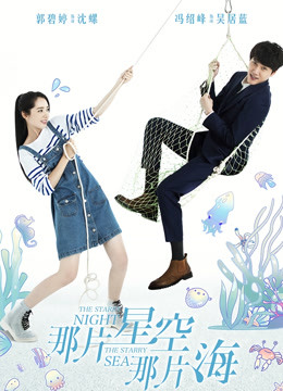 那片星空那片海DVD版封面图