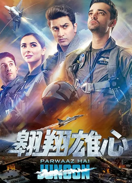 翱翔雄心（普通话）封面图