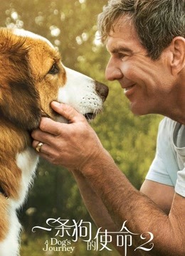 一条狗的使命2（普通话）封面图