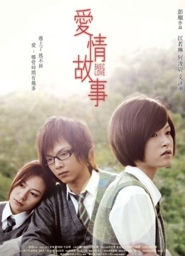 爱情故事（2009）封面图