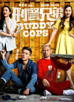 刑警兄弟封面图