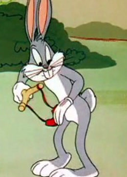 兔宝宝在夏威夷封面图