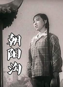 朝阳沟豫剧封面图