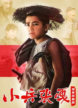 小兵张嘎独家修复版封面图