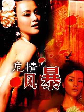 危情风暴封面图