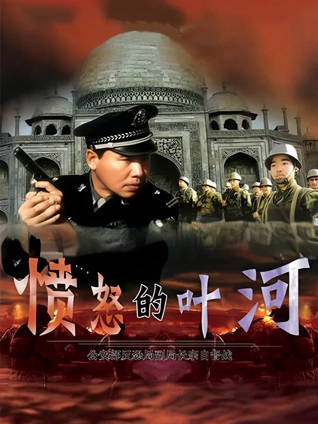 愤怒的叶河封面图