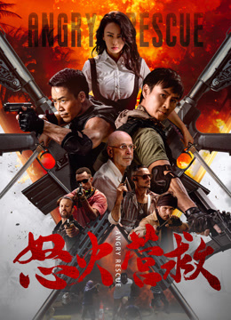 怒火营救封面图