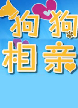 狗狗来相亲封面图