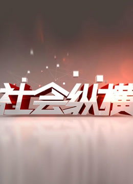 社会纵横封面图