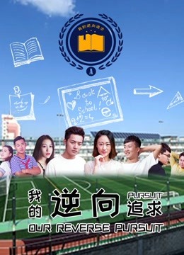 我的逆向追求封面图