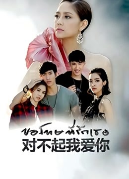 泰对不起我爱你版封面图