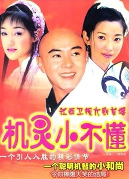 机灵小不懂封面图