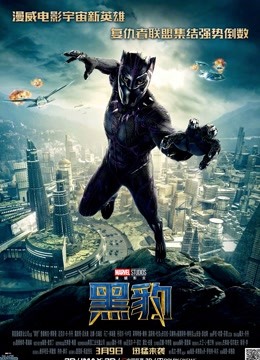 黑豹（普通话）封面图