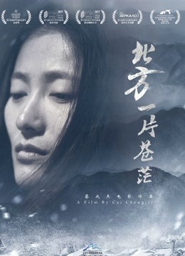 北方一片苍茫封面图