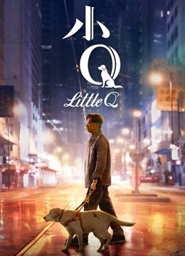 小Q（无障碍解说版）封面图