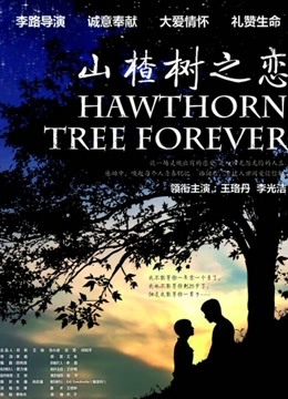 山楂树之恋封面图