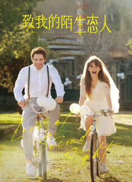 致我陌生的恋人封面图