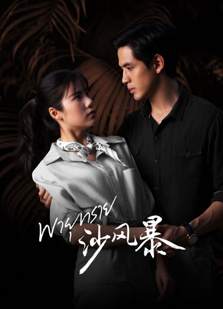 沙风暴版封面图