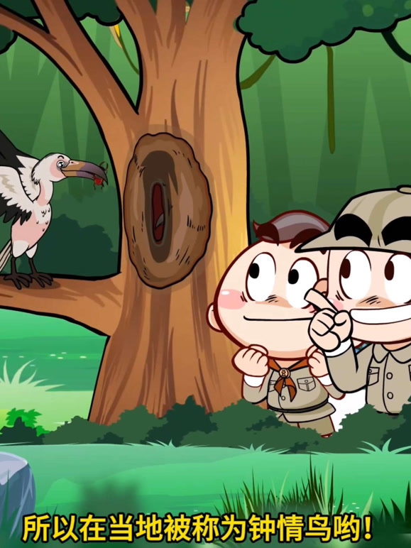 唐唐冷知识 第1集 犀鸟的搞笑行为大赏，每个都超好玩！封面图