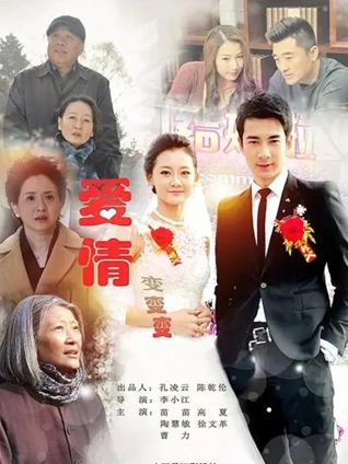 爱情变变变封面图