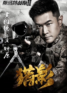 反恐特战队之猎影DVD版封面图