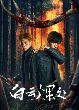 白云深处封面图