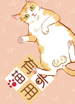 喵有卵用第二季封面图