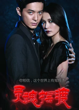 灵魂摆渡精华封面图