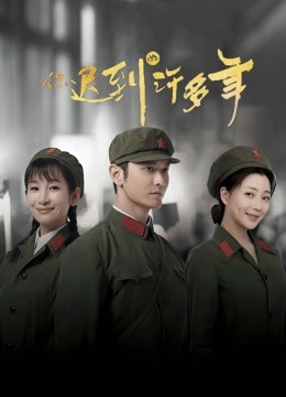 你迟到的许多年DVD版封面图