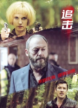 追击（2017）封面图