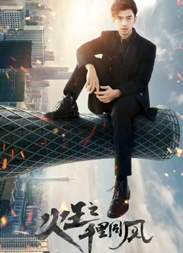 火王之千里同风DVD版封面图