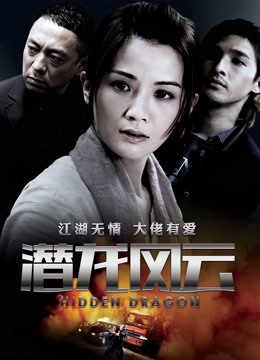 潜龙风云封面图