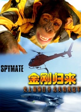 金刚归来（普通话）封面图