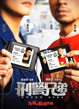 刑警兄弟（粤语）封面图