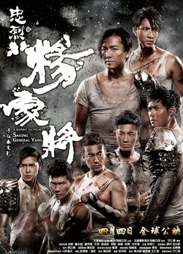 忠烈杨家将（粤语）封面图