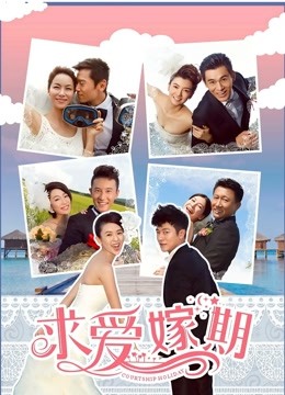 求爱嫁期（2014）封面图