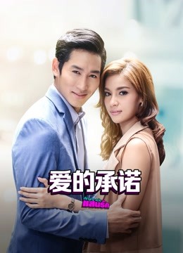 爱的承诺普通话版封面图