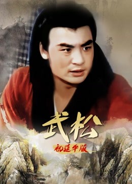 武松祝延平封面图