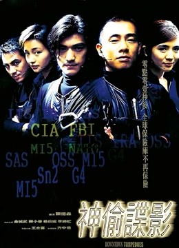 神偷谍影封面图