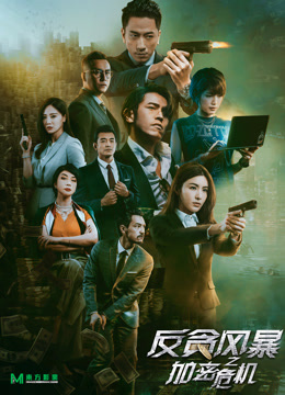 反贪风暴之加密危机粤语封面图