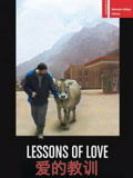 爱的教训封面图