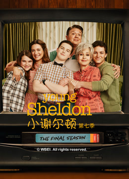 小谢尔顿7封面图