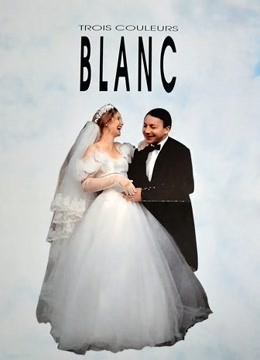 红白蓝之白封面图