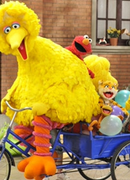 芝麻街之大鸟看世界封面图