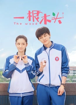 一根木头2封面图