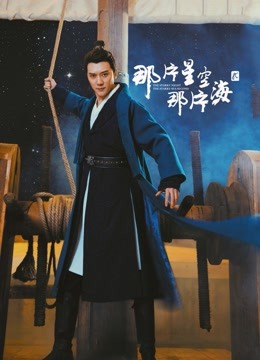 那片星空那片海2DVD版封面图